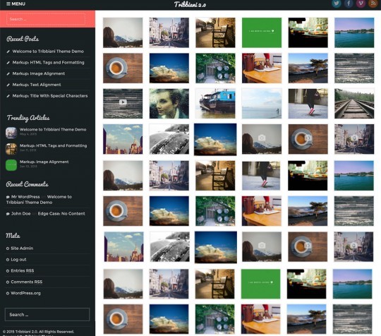 rohitink screenshot tribbiani