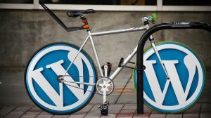 Use of SEO to increase traffic in WordPress Blog