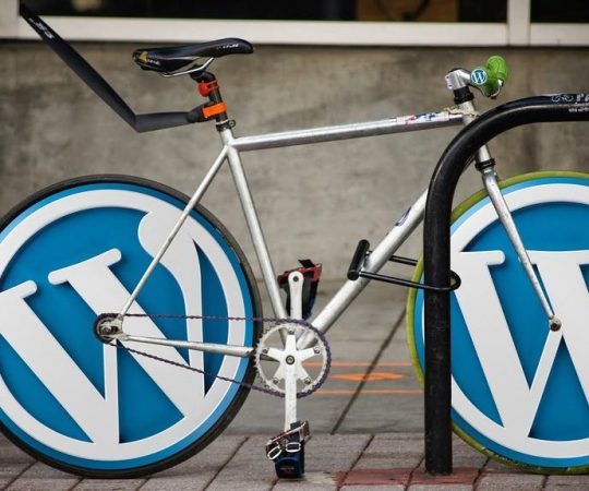 Use of SEO to increase traffic in WordPress Blog